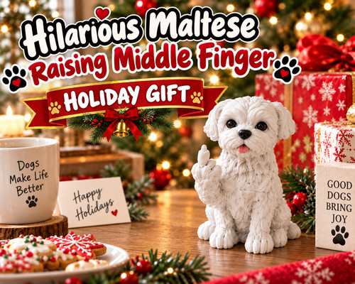Hilarious maltese puppy - hilarious,