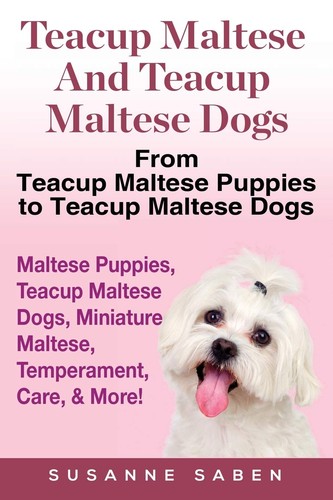 Teacup maltese and - maltese,