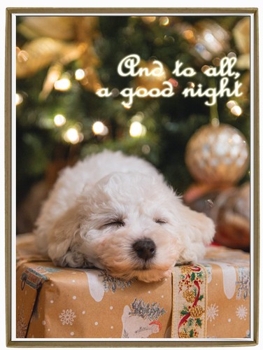 Maltese christmas cards box - maltese,