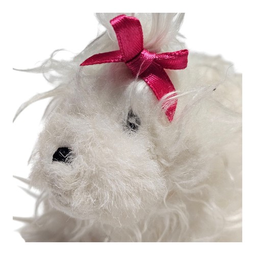 Maltese mini puppy dog white - puppy,