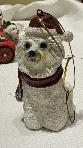 Bichon frise maltese - bichon,