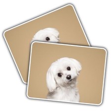2x Vinyl Sticker Cute Maltese
