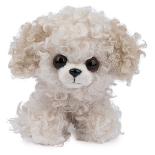 Boo friends maltipoo puppy - boo,