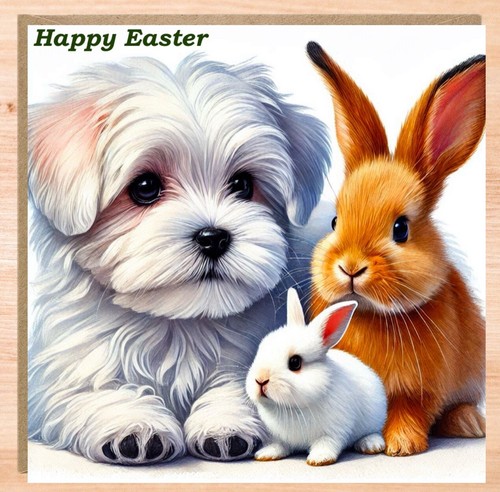 Personalised maltese easter - maltese,
