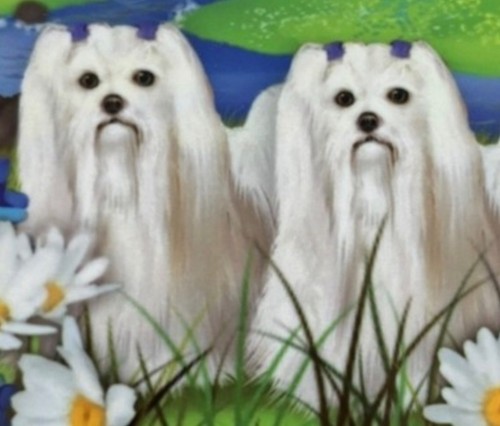 Dog maltese ceramic - k-9,