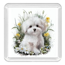 Maltese Cute Puppy Flowers Dog