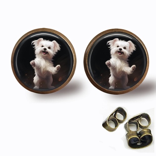 Spunky maltese puppy dog stud - spunky,