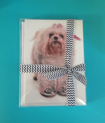 Maltese greeting cards pack - maltese,
