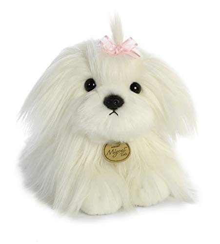 Aurora miyoni maltese puppy - miyoni,