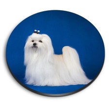 1x Round Fridge MDF Magnet