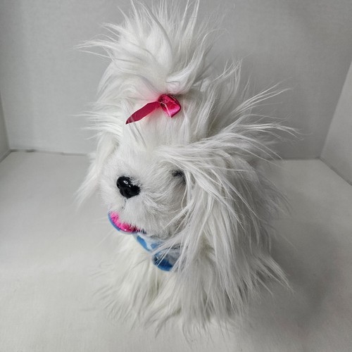 Battat white maltese shih tzu - maltese,
