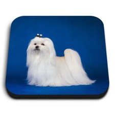 1x Square Fridge MDF Magnet