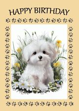 MALTESE CUTE PUPPY AND FLOWERS