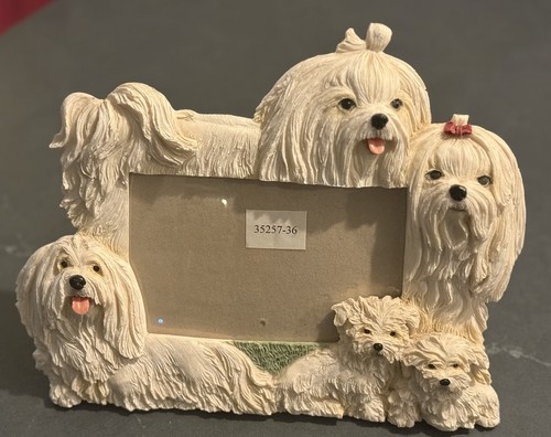 Maltese dog photo frame - photo,