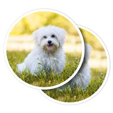 2x Vinyl Stickers Cute White