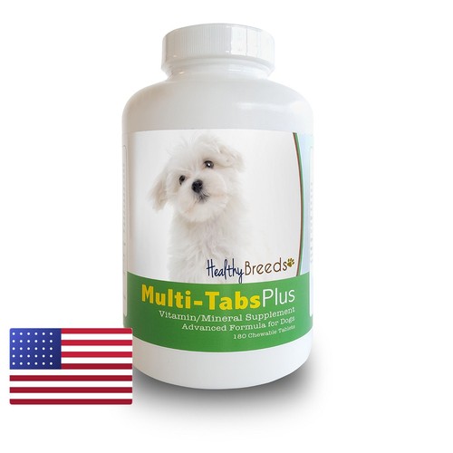 Healthy breeds maltese - healthy,
