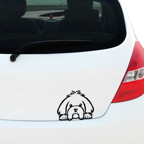 Peeking maltese vinyl - vinyl, decal