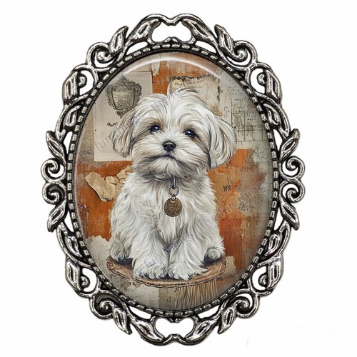 Maltese puppy dog boho - boho, style
