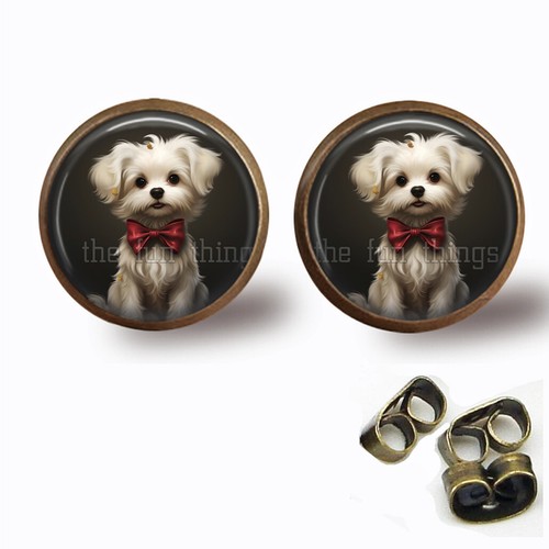 Adorable maltese puppy dog - adorable,