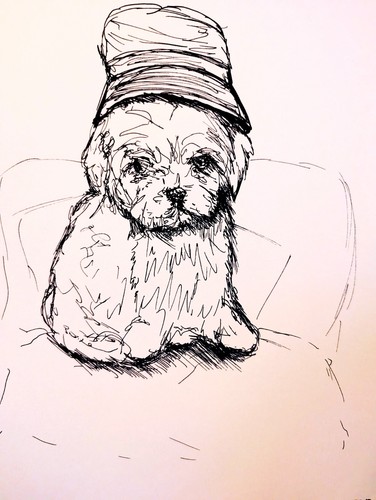 Maltese puppy bucket hat - bucket,