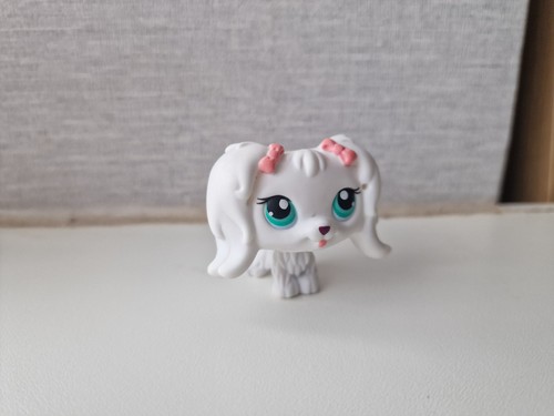 Littlest pet shop maltese - pet,