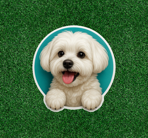 Cute maltese dog waterproof - dog,