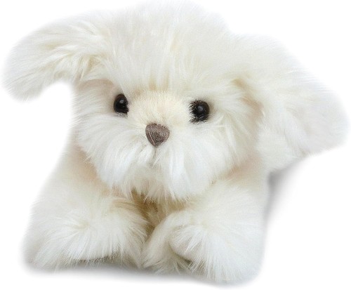 Mon ami sugar maltese puppy - ami,