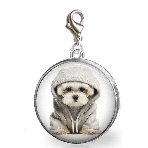 Maltese puppy dog - dog, on