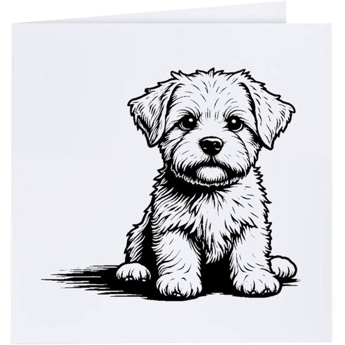 Maltese puppy sitting - 'maltese, sitting'