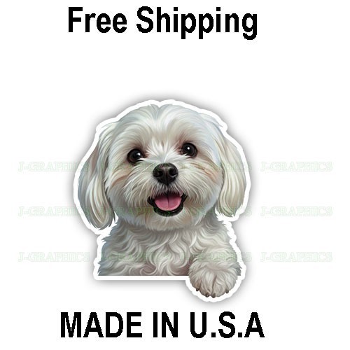 Peeking maltese vinyl decal - peeking,