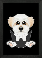 Maltese Puppy In Pocket Framed