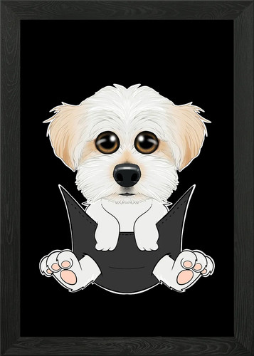 Maltese puppy pocket framed - in,