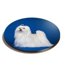 Round MDF Coaster Cute White