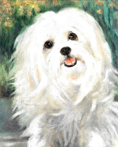 Original oil dog portrait - ❦,