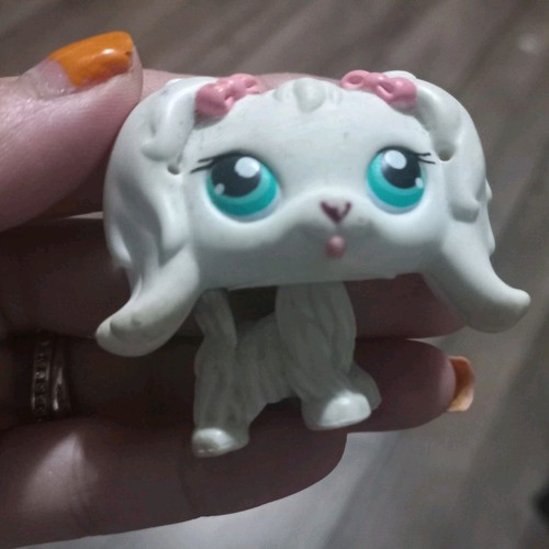 Littlest pet shop - shop, maltese
