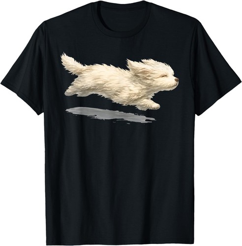 Running maltese dog cute - cute, white