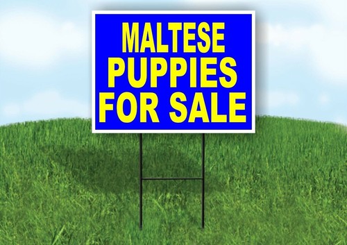 Maltese puppies for sale - for,