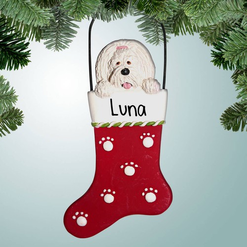 Maltese stocking dog - in,
