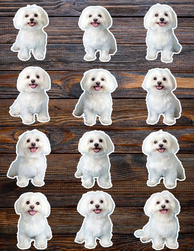 Maltese dog die - maltese, vinyl