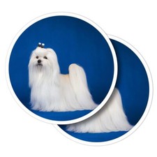 2x Vinyl Stickers Cute White