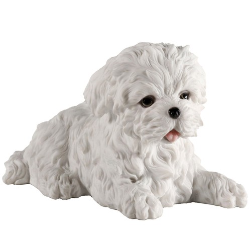 Veronese design maltese white - design,