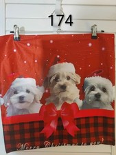 Christmas Maltese Puppies