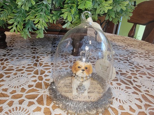 Maltese dog puppy - , glass