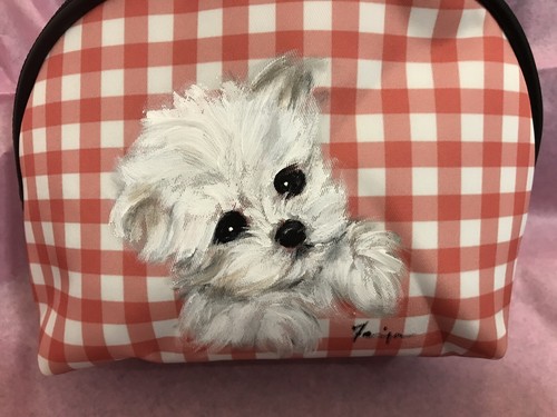 Maltese puppy adorable - puppy,