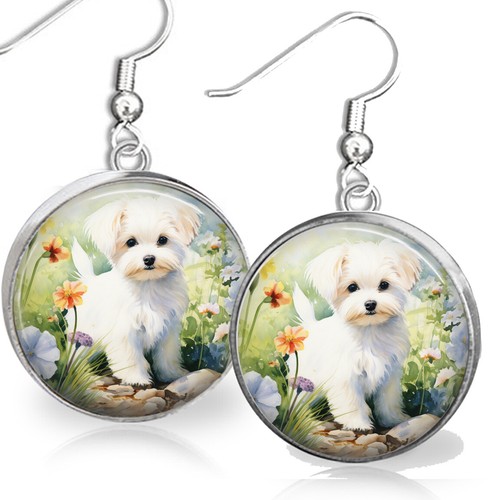 Maltese puppy dog - maltese,