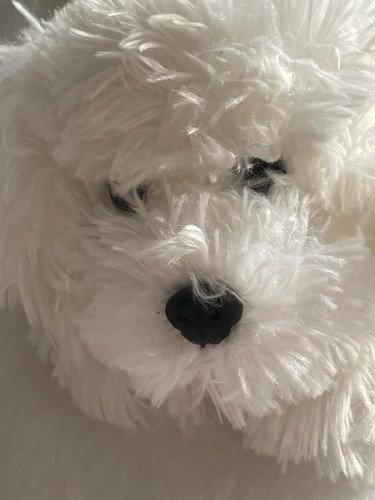 Fao schwarz white bichon - fao, frise