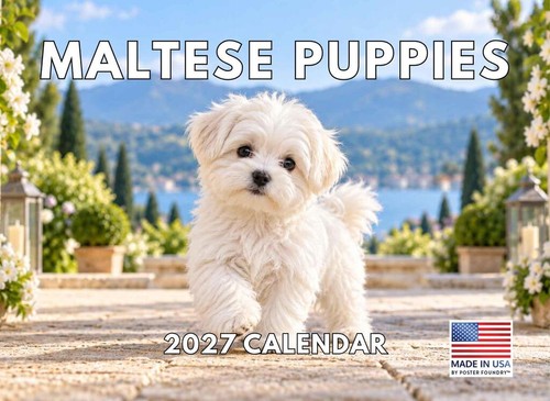 Maltese puppy calendar 2027 - calendar,