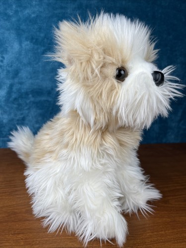 Douglas marley maltese - marley, dog