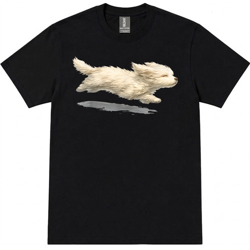 Running maltese dog - running,