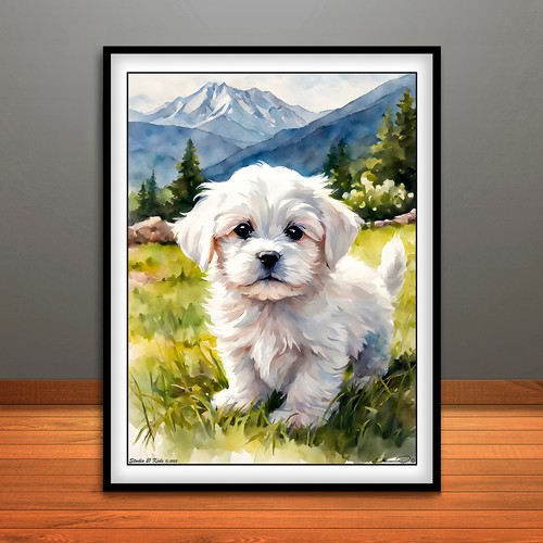 Maltese puppy print poster - maltese, print,